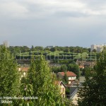 cimetière au milieu de la végétation