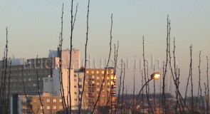 Ma ville vue de ma fenêtre /      Arcueil et alentours