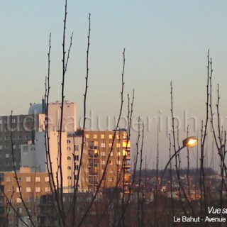 Ma ville vue de ma fenêtre /      Arcueil et alentours